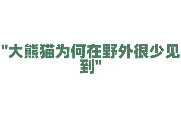 "大熊猫为何在野外很少见到"